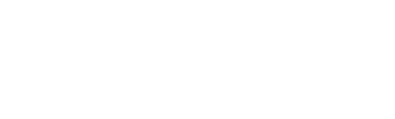 CTF Logo